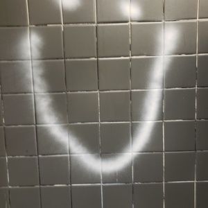 Meet your Posher, Payton